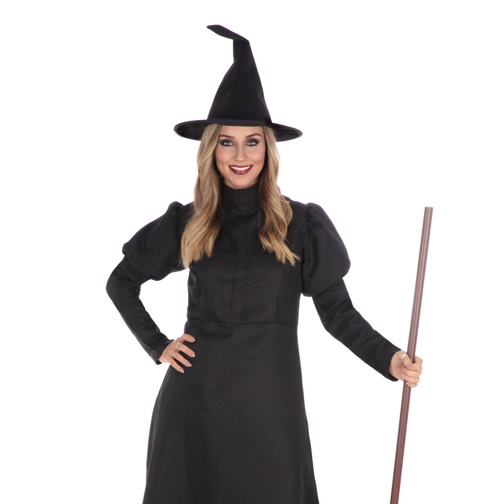 Wickedest Witch Costume