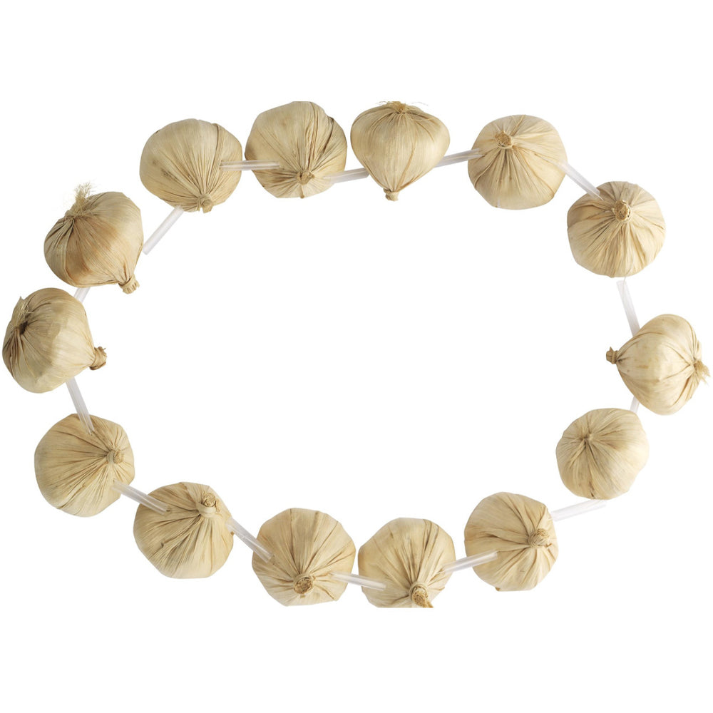 Garlic Necklace