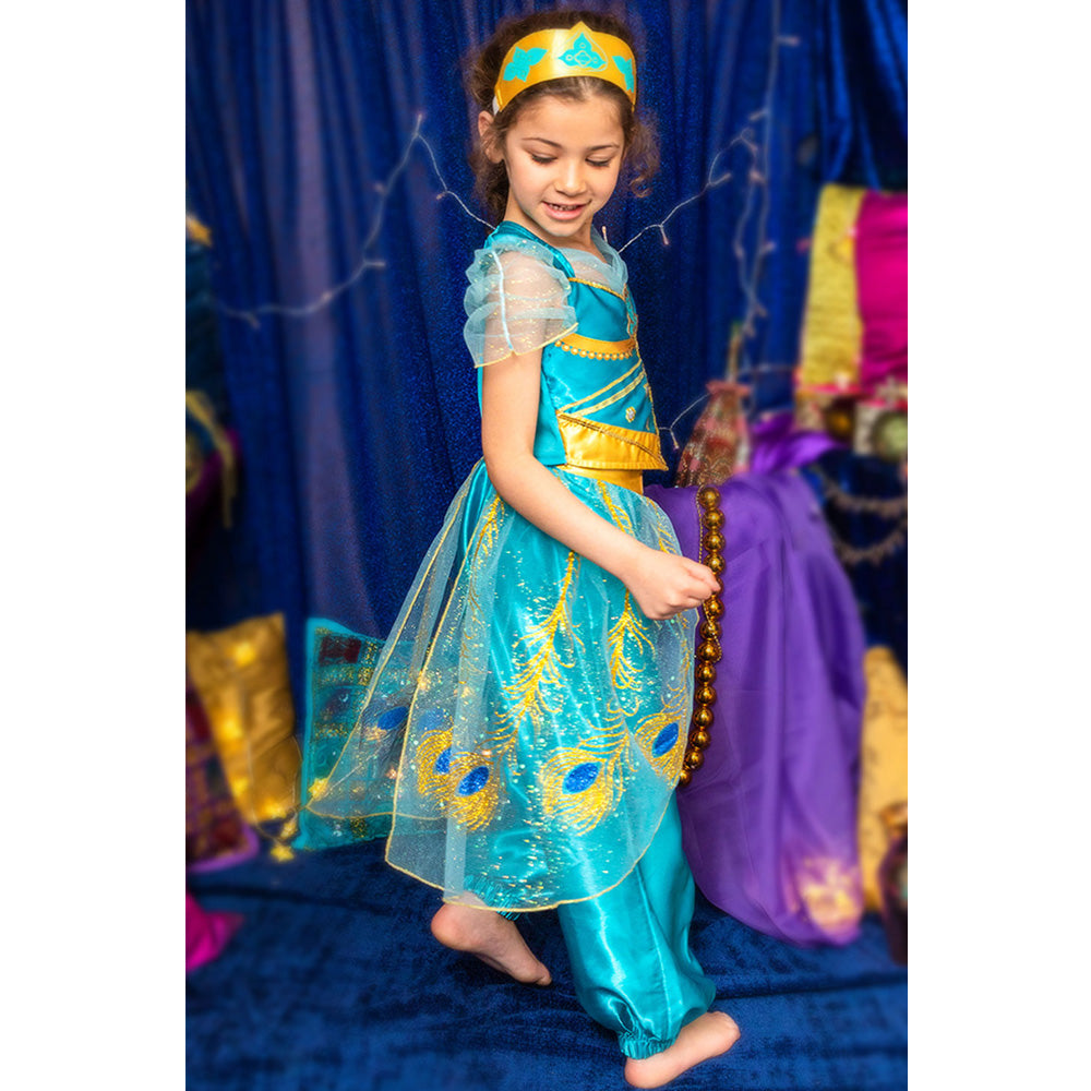 Aladdin Costumes : Princess Jasmine Costumes : Arabian Fancy Dress